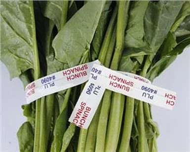 Vườn rau tươi giấy xoắn Tie